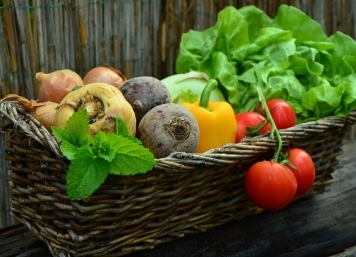 Община Русе обяви обществена поръчка за доставка на хранителни продукти